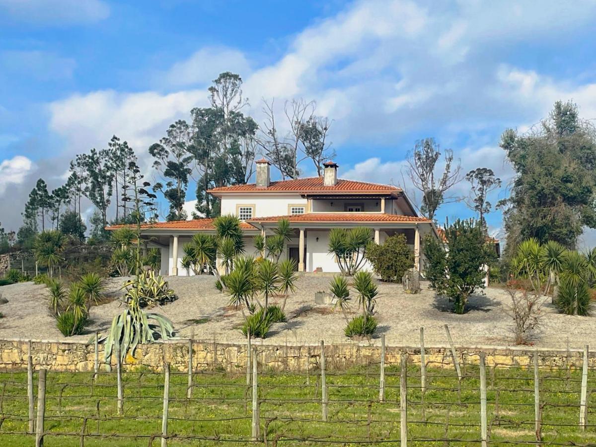 Quinta da Paixão - Bed & Breakfast - B&B