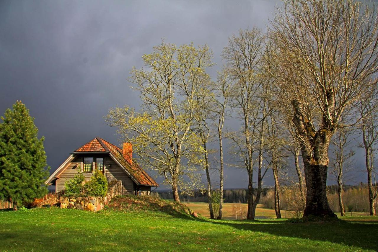 B&B Jaunpiebalga - Mājiņa ar pirti ,lauku apvidū. - Bed and Breakfast Jaunpiebalga