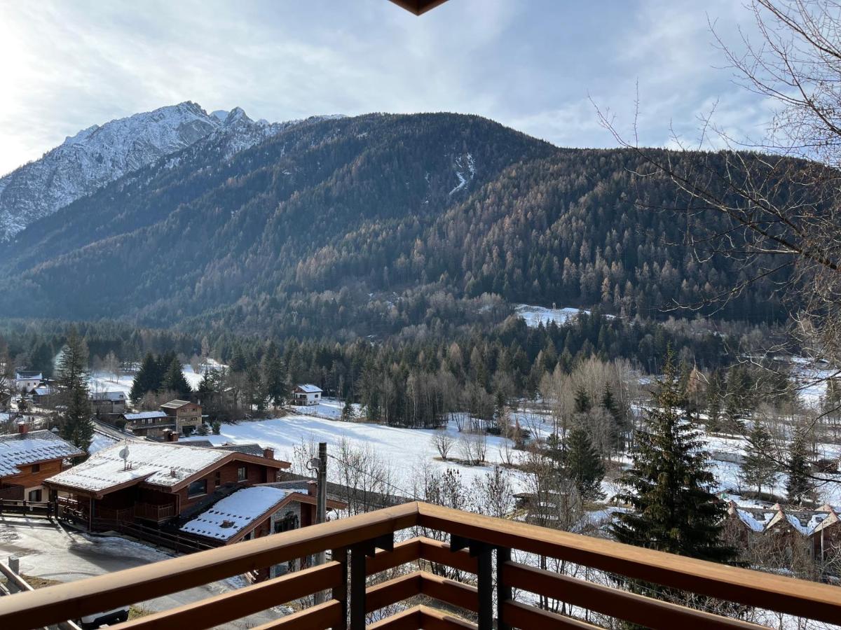 Abete Rosso, appartamento vicino alle piste da sci - B&B Temù