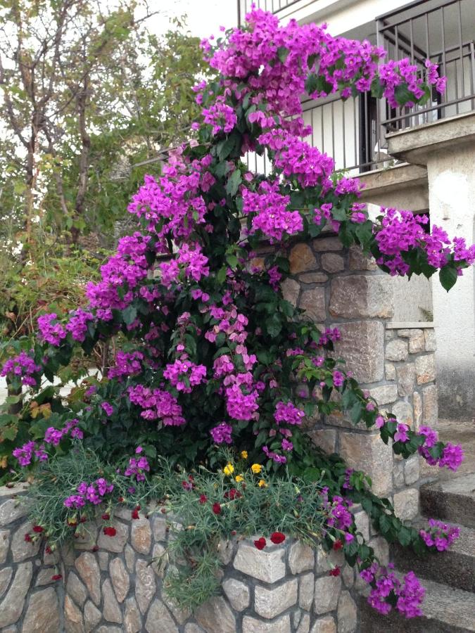 Guesthouse Maver - B&B Cherso