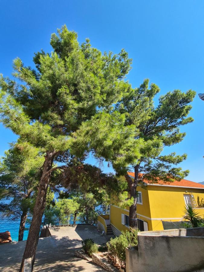 Vila Elena - B&B Prigradica