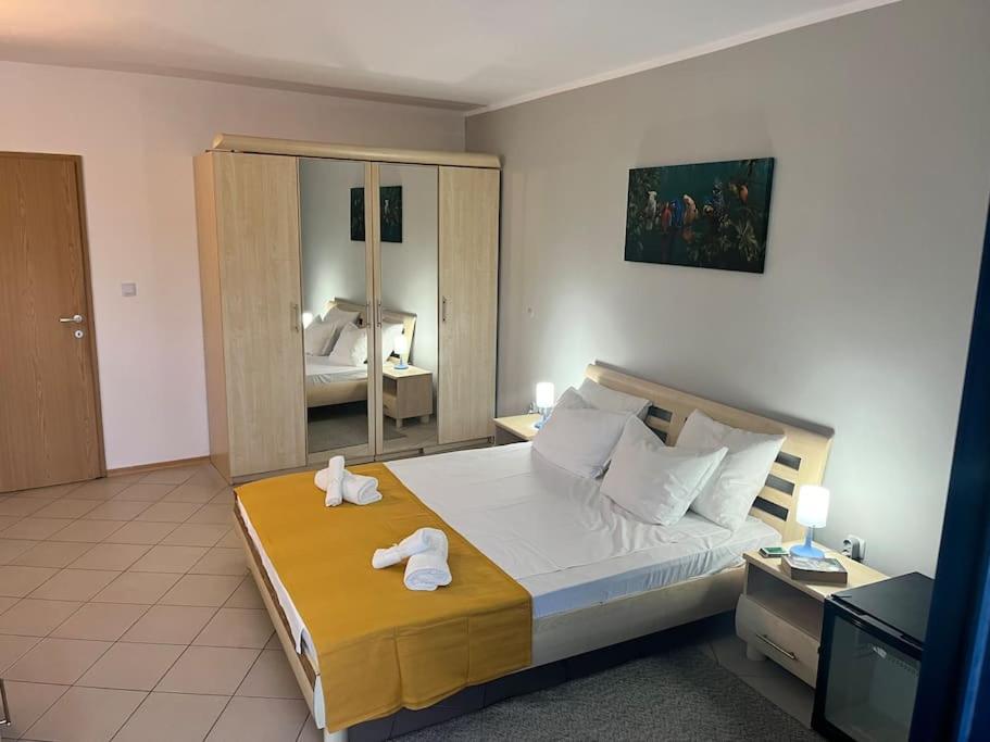 Appartement 1 Chambre