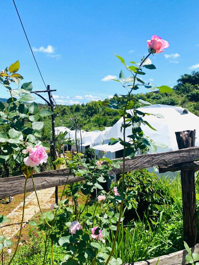 Ventosa HomeFarm - Venuestay - B&B Kon Von Kla