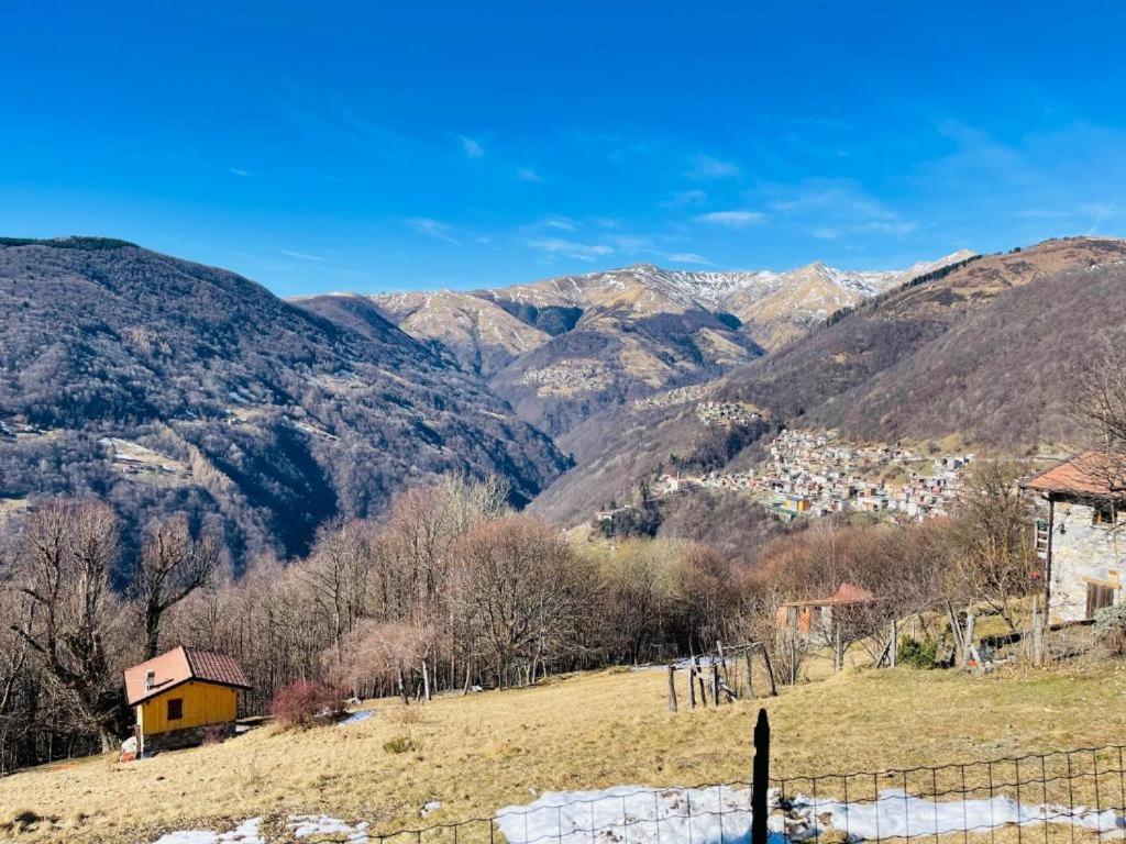 Alex Chalet - B&B