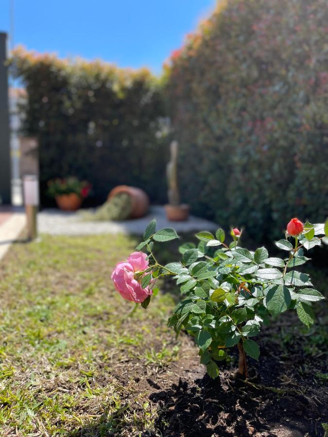 MB Giurati Suites - B&B