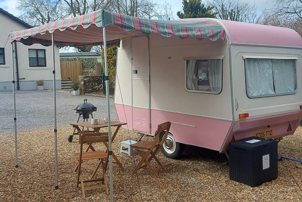 Molly The Vintage Caravan. - Chambres d’hôtes