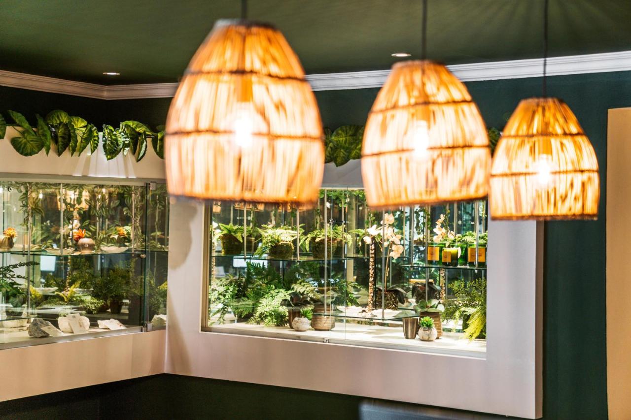 Last Word Constantia - Bed and Breakfast Kaapstad