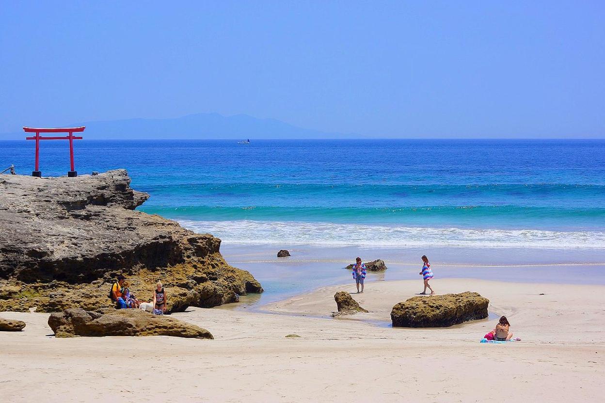 タートルハウス - B&B Shimoda