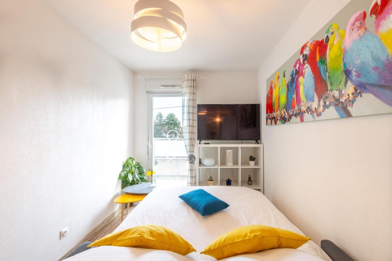 Appartement 1 Chambre