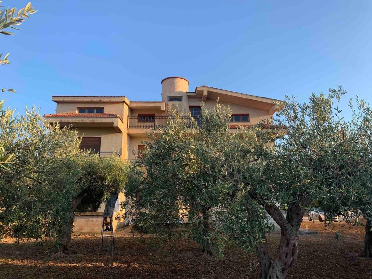 Casa Vacanza Torre di Mezzo - Alba - B&B