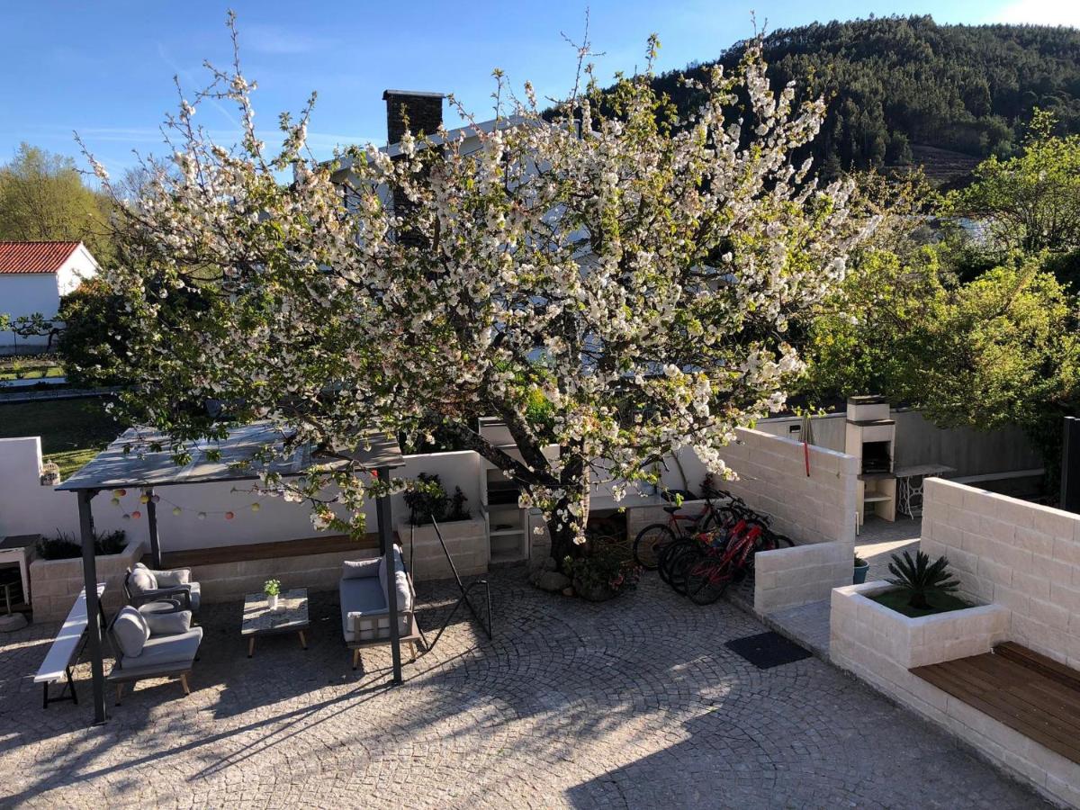Casa da Avó Olinda - B&B Góis