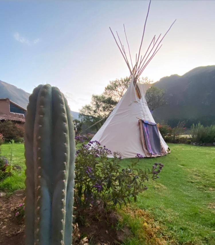 B&B Pisac - Sonqo Andino Hospedaje Medicina - Bed and Breakfast Pisac