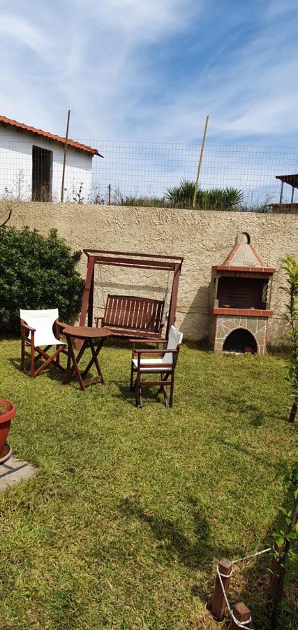 The Cozy Yard - B&B