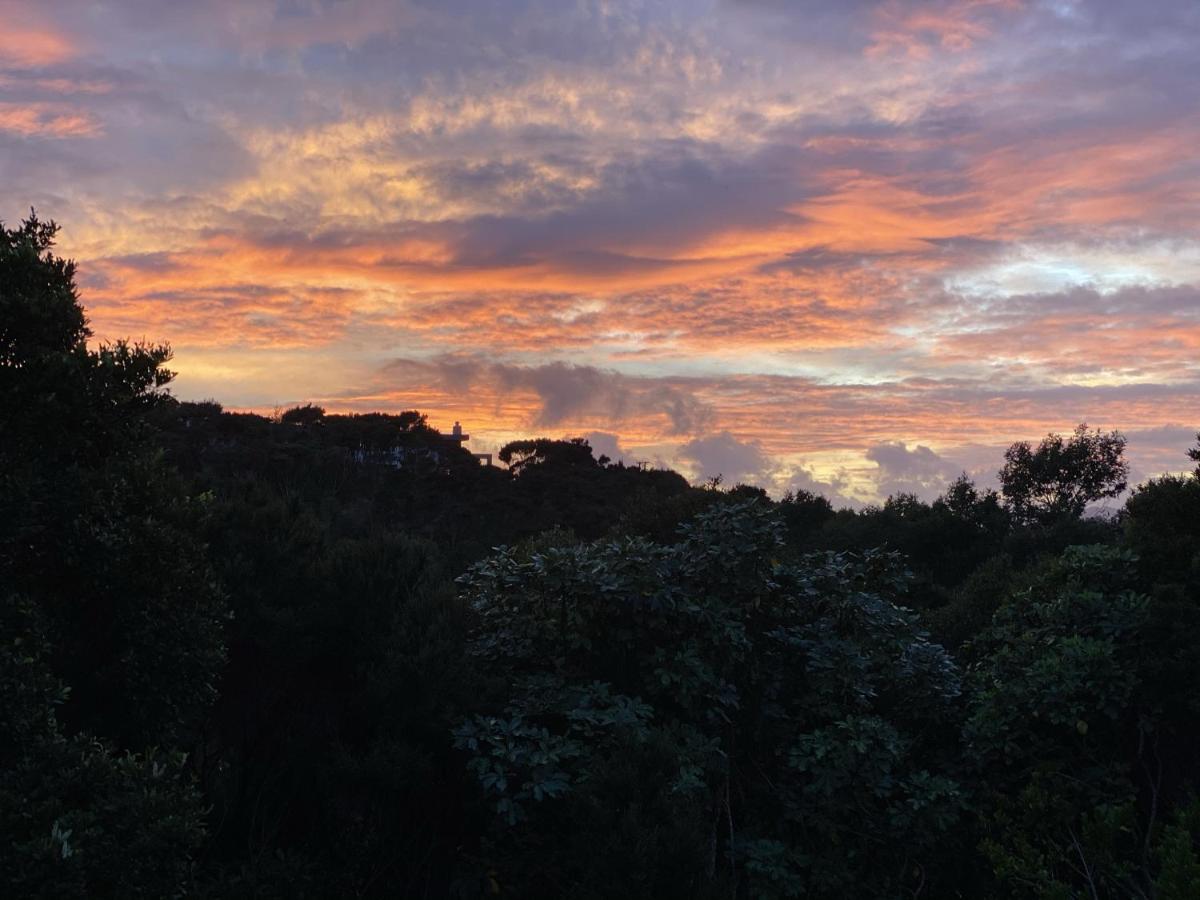 Treehouse Holiday home - B&B Paihia