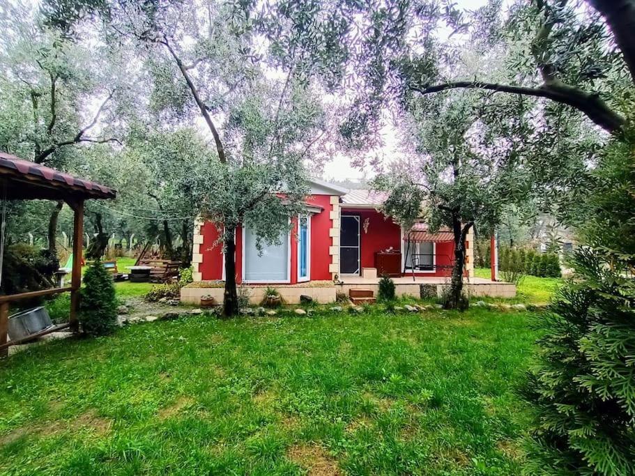 B&B Demirışık - bungalov ve göl kenarina kurulmuş sahil evi. - Bed and Breakfast Demirışık