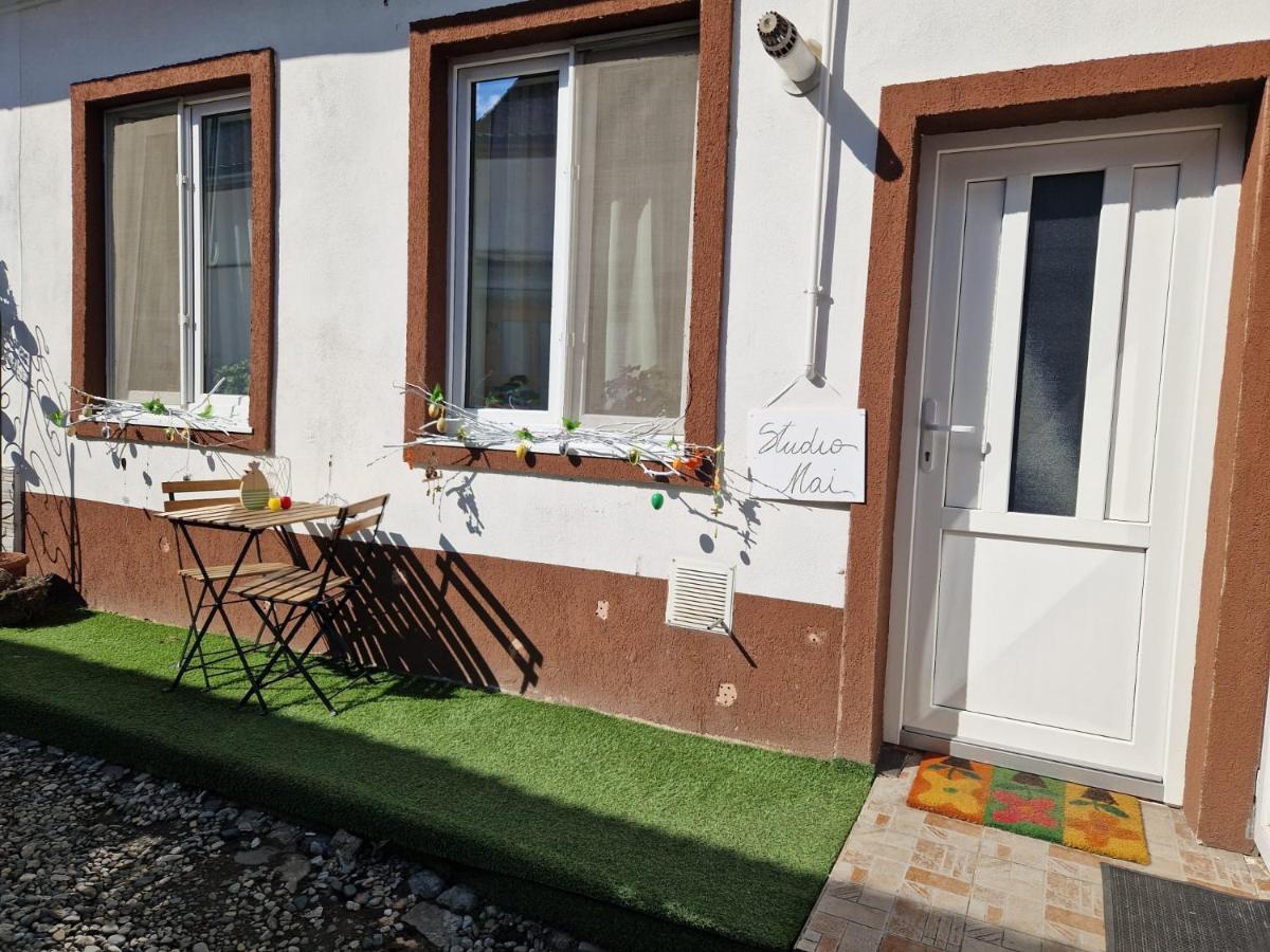 FLH - Studio Mai cu aroma de cafea si ceai - B&B Sibiu