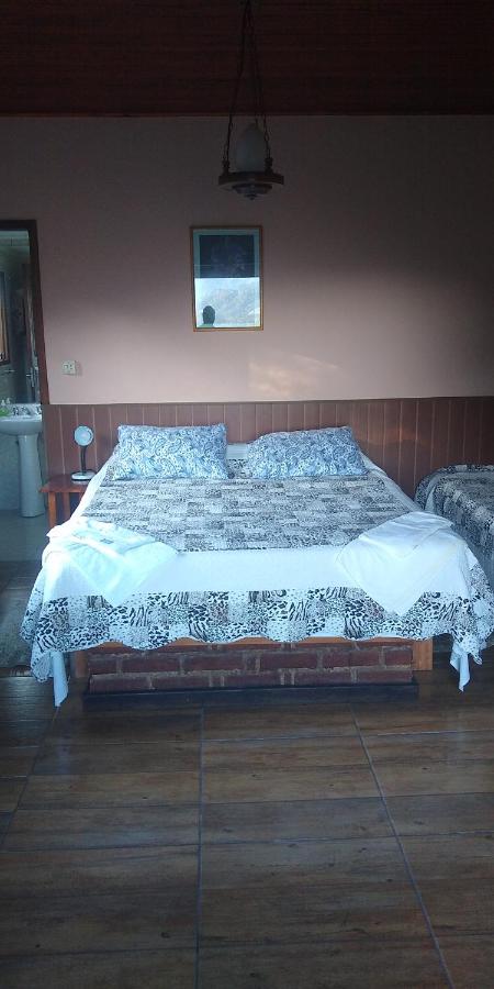 Apartamento - Planta baja