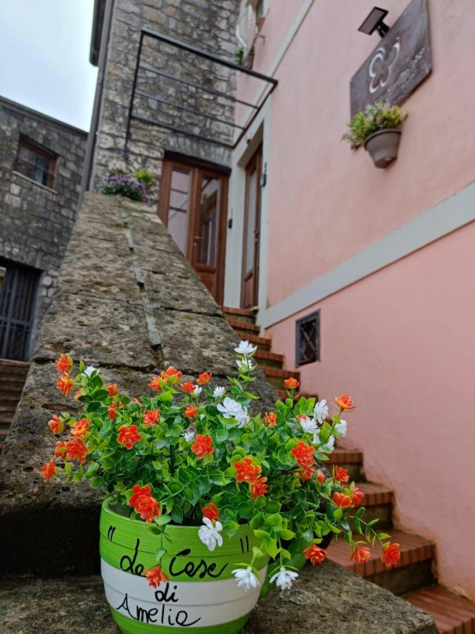 La Casa di Amelia - B&B
