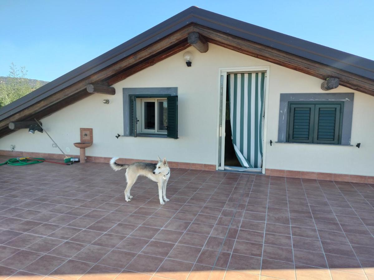 La terrazza - B&B Ragalna