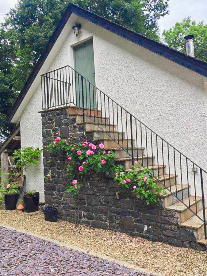 Blackberry Loft - a Hidden Gem - Bed and Breakfast