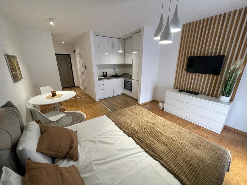 LL65 Apartmens Airport Nikola Tesla - Chambres d’hôtes Ledine