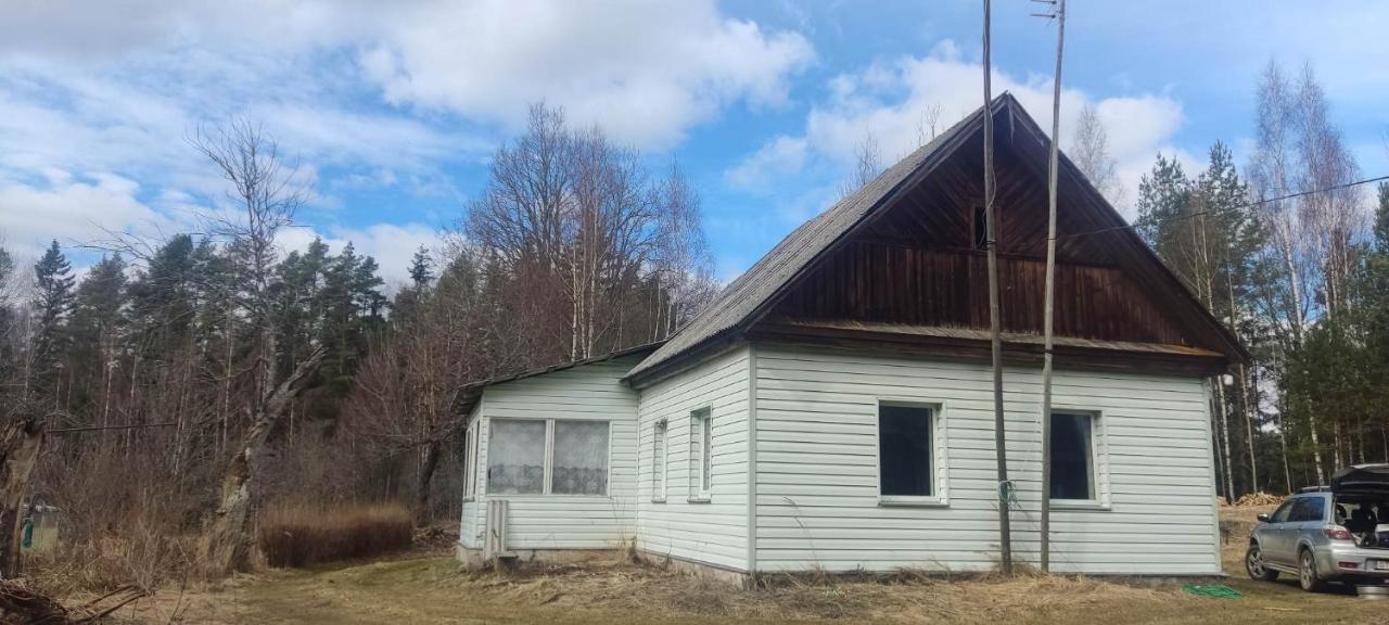 Bluci seksti - Bed and Breakfast