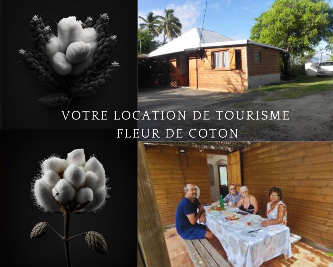 B&B Grand Fond - fleur de coton location saisonnière - Bed and Breakfast Grand Fond