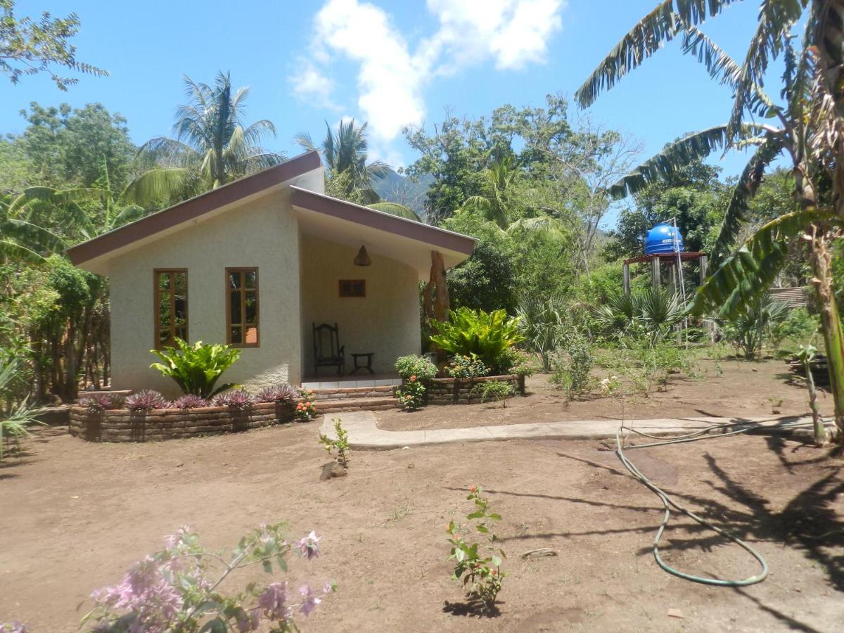 Bungalow Deluxe - Vue sur Jardin