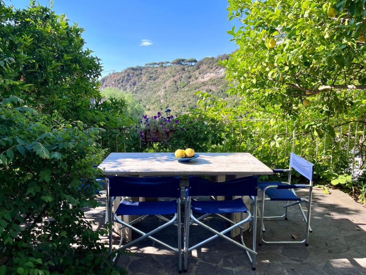 Villa Izzo - Ferienwohnung Ischia