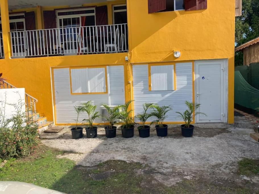 Wanna Bee - B&B