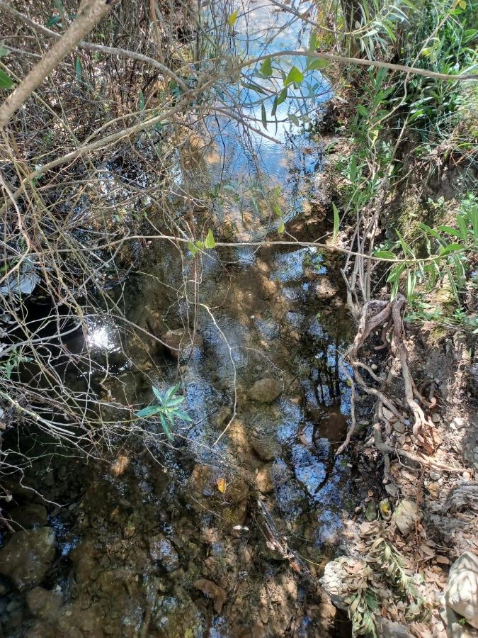 CASA SENDERO DEL RIO - Chambres d’hôtes El Bosque