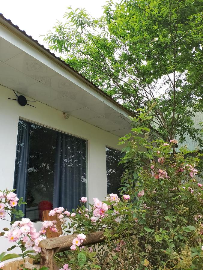 Tay Bac Sky Homestay - B&B Sa Pa