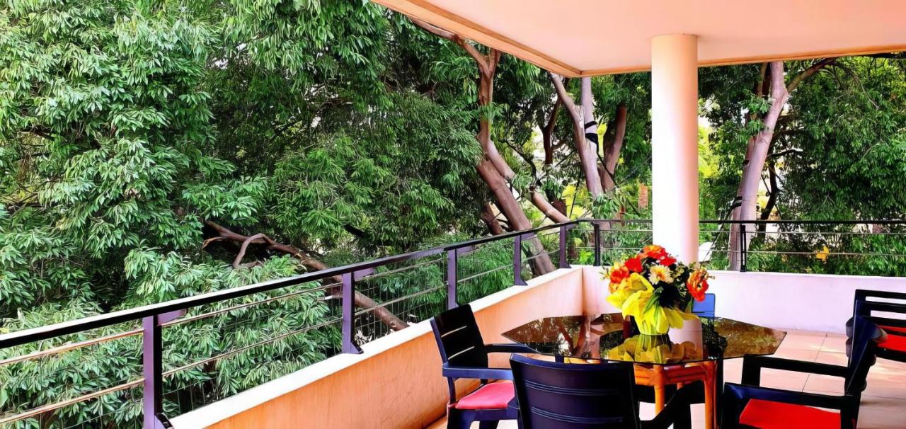 Spacious Luxury apt, 12 min walk to Croisette beach and Conf Centre - B&B Cannes