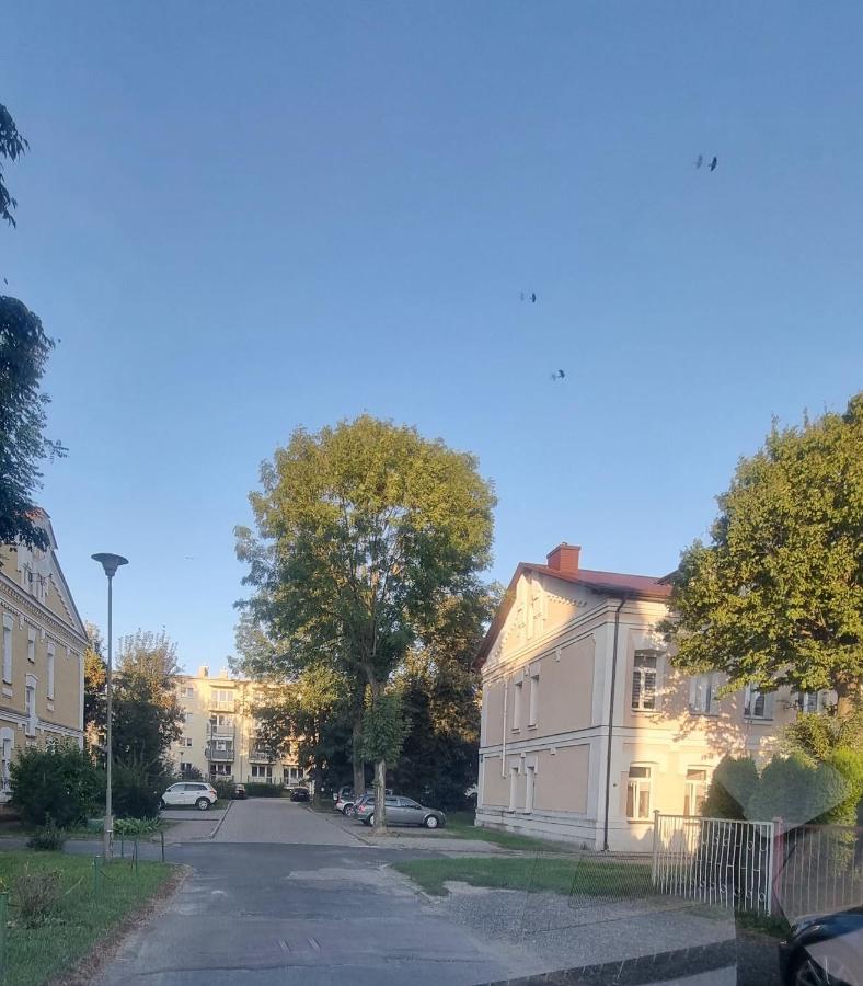 APARTAMENT KRESOWY parter 3 pokoje duża łazienka kabino-wanna SPA wi fi ekspres 2x smart tv antresola parking free plac zabaw pływalnia fala 5 minut - B&B Hrubieszów