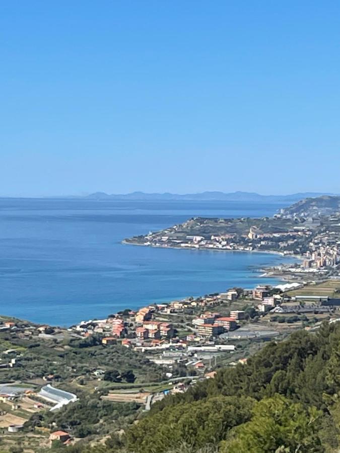 Villa Lilli - B&B Cipressa