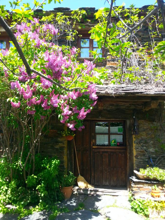Casa Rural La Casa Del Sol - Ferienwohnung
