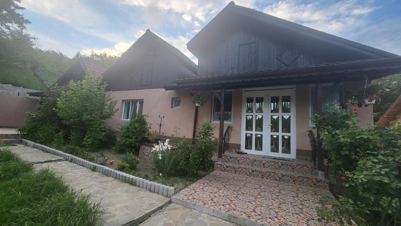 B&B Călugăriţele - Pensiunea Floare DeCOLTI - Bed and Breakfast Călugăriţele