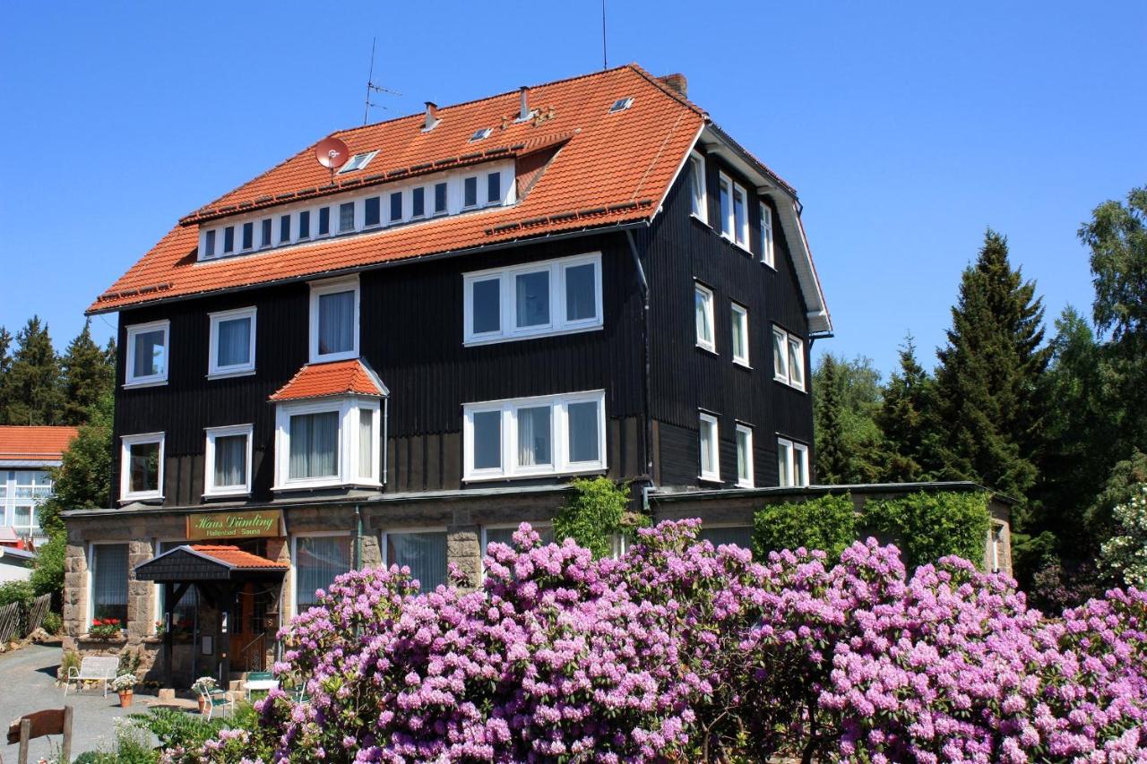 Haus Dümling - B&B Braunlage