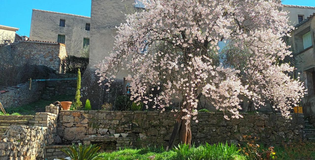 maison MON REVE - B&B Le Vigan