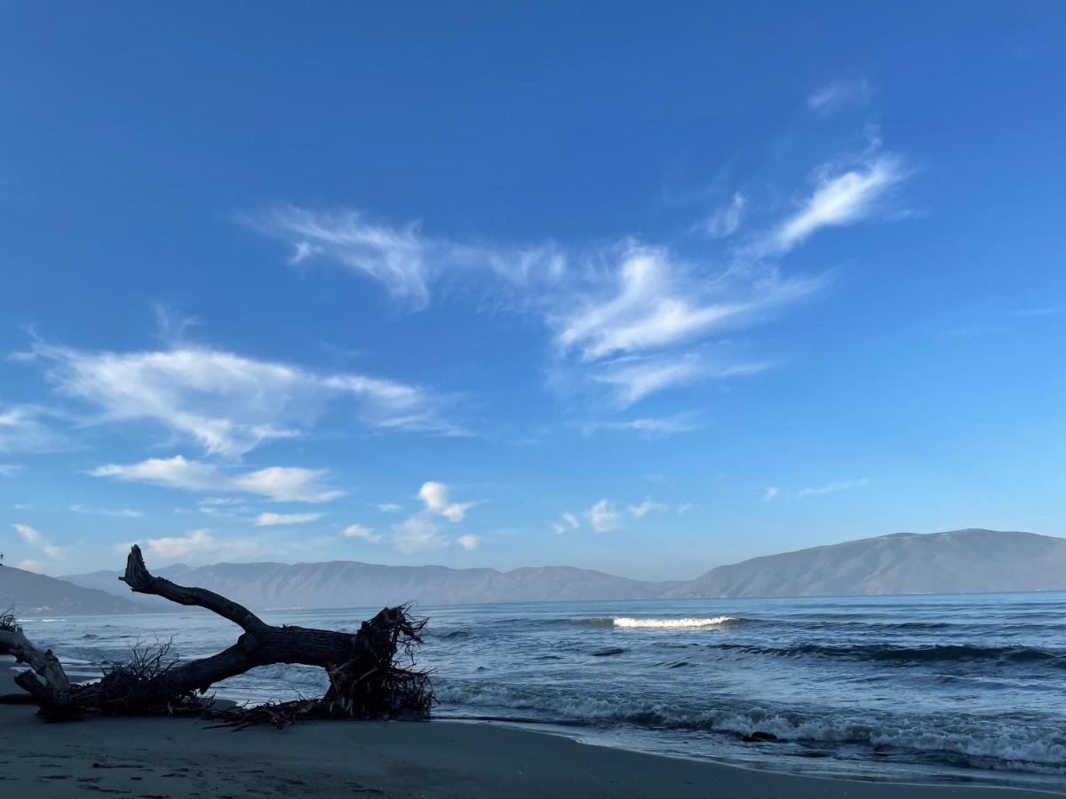 Vila Zini - Bed and Breakfast Vlorë