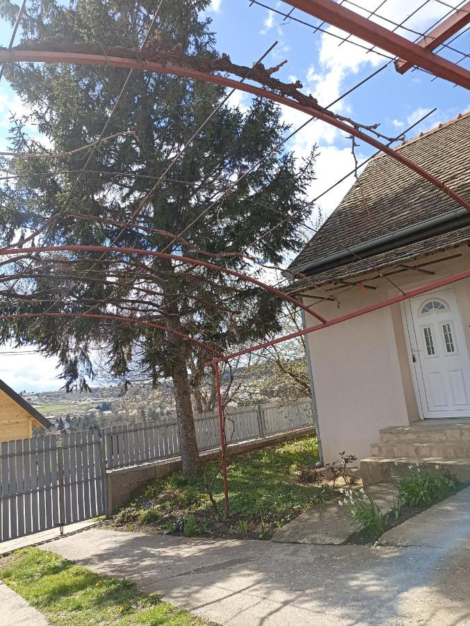 B&B Vrdnik - Apartman Mihajlović - Bed and Breakfast Vrdnik