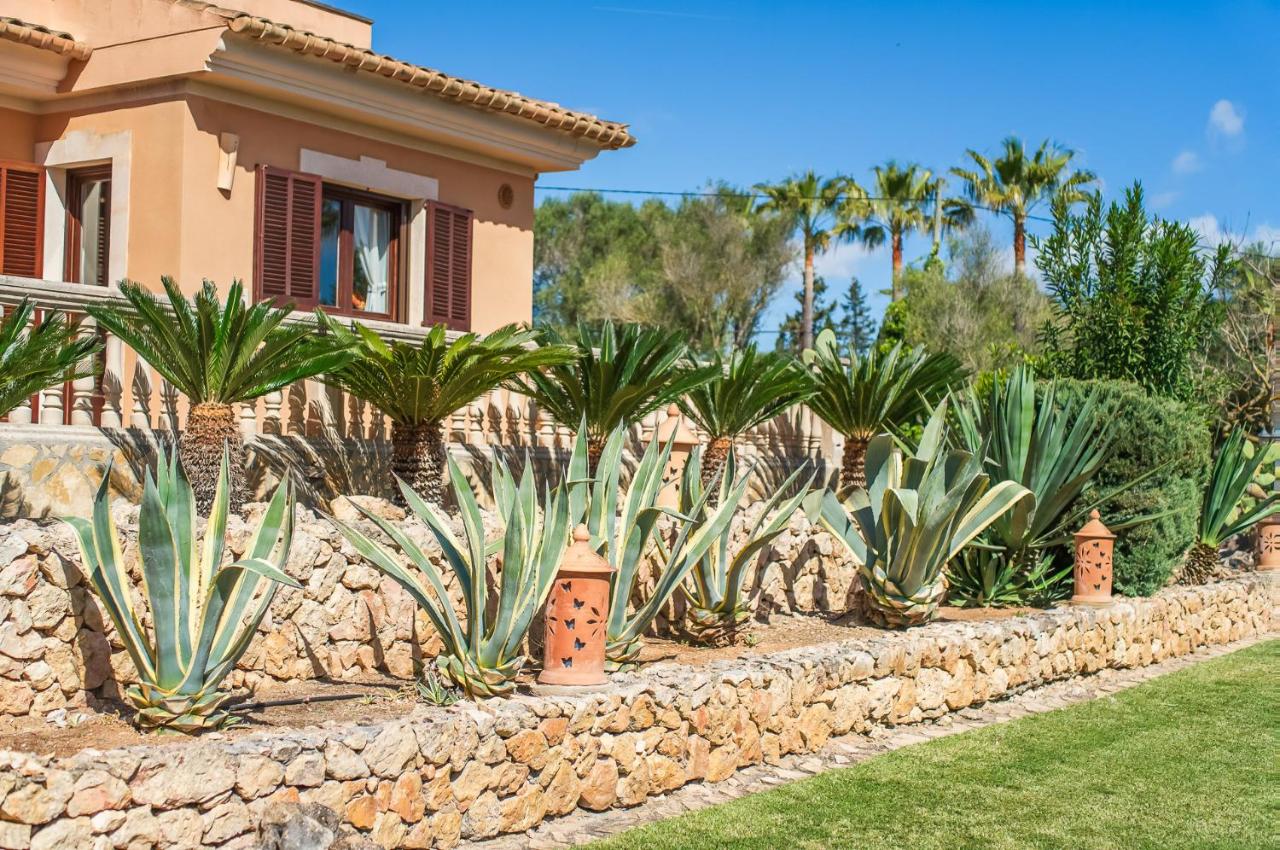 Ideal Property Mallorca - Son Morei Gran - B&B Muro