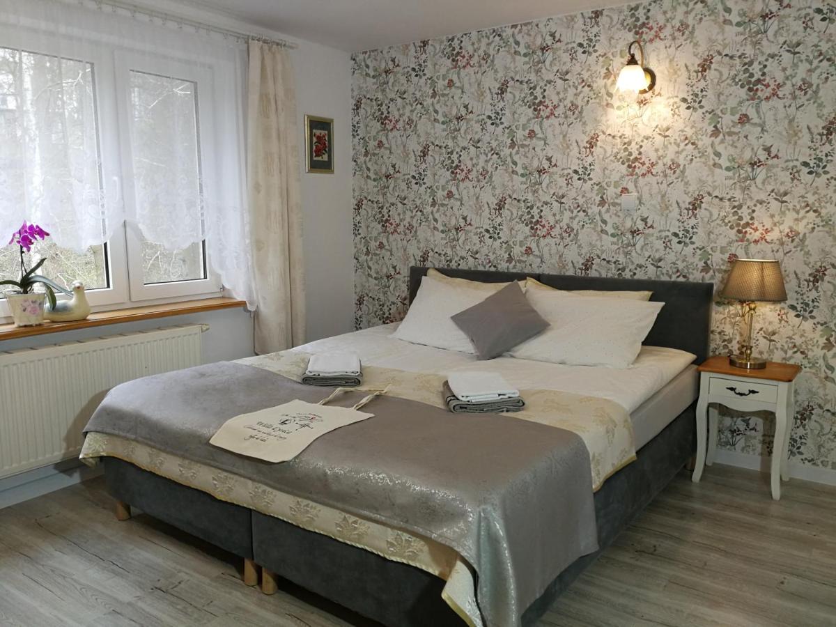 Vierbettzimmer mit Gartenblick