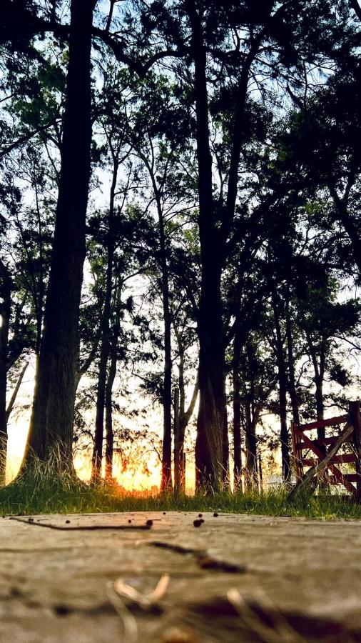 Camino al Sol Domselaar wifi - B&B Domselaar