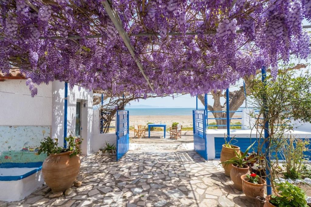 B&B Katákolo - Σπίτι πάνω στο κύμα - Bed and Breakfast Katákolo