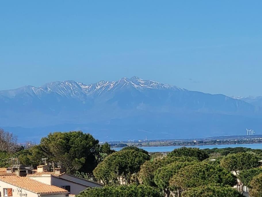 Charmant appartement ! - Chambres d’hôtes Le Barcarès