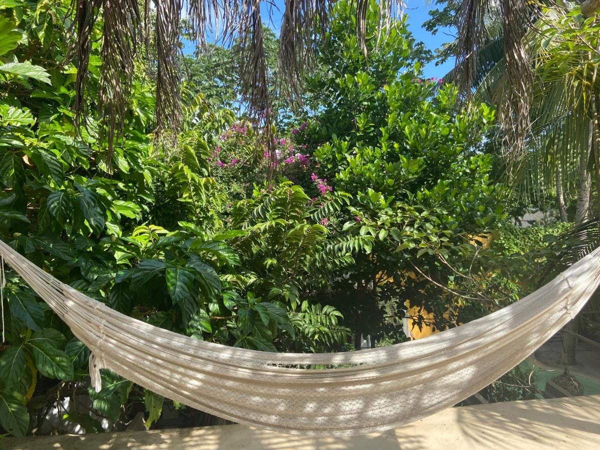 Quinta Salamandra - Bed and Breakfast Playa del Carmen