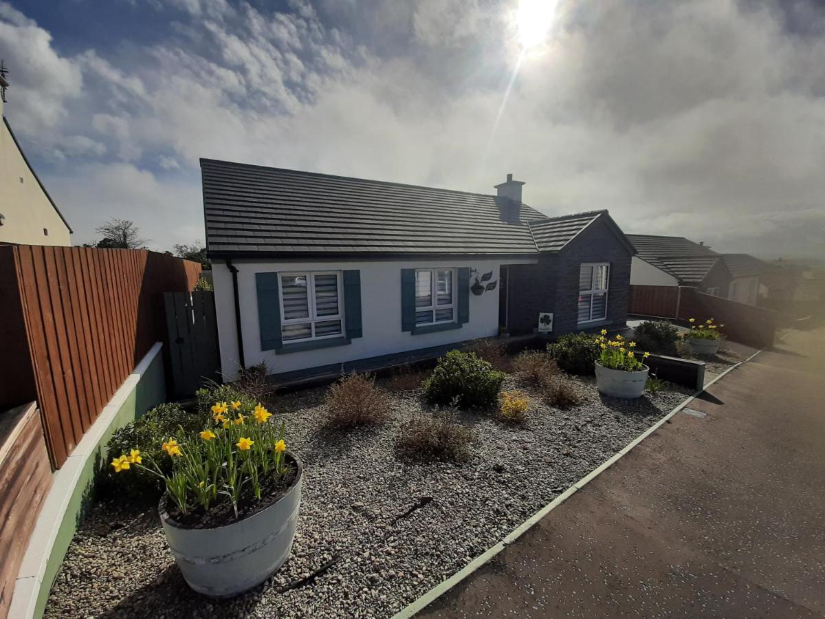 B&B Downpatrick - Number 14 - Bed and Breakfast Downpatrick