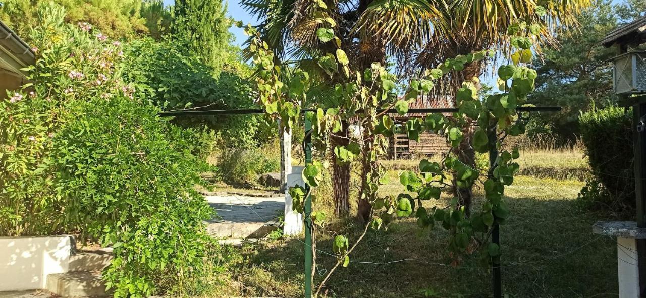 Les Falaises - B&B