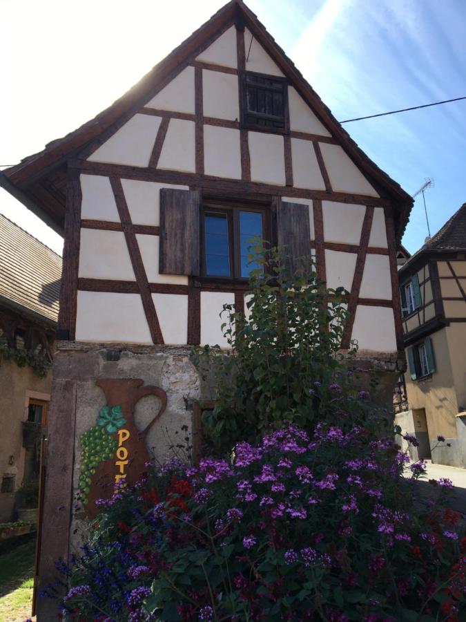 Le Petit Cocon - B&B Dambach-la-Ville